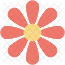 Flower Sunflower Floral Icon