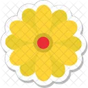 Flower Daisy Sunflower Icon