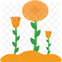 Flower Spring Blossom Icon