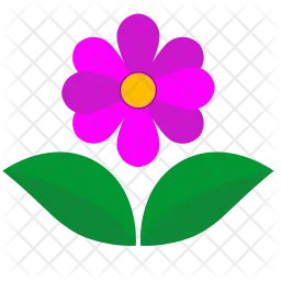 Flower  Icon