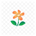 Flower  Icon