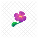 Vector Flower Pink Icon