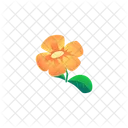 Flower  Icon