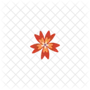 Chinese Flower China Icon