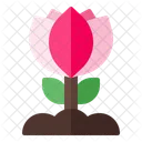 Flower Plant Spring Icon