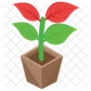 Pot Plant Flower Outdoor Plant Icon