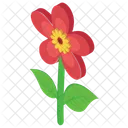 Flower Outdoor Plant Nature Icon