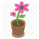 Pot Plant Flower Outdoor Plant Icon