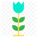 Plant Nature Spring Icon