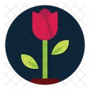 Flower Rose Mother Day Gift Icon