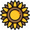 Flower Sunflower Helianthus Icon
