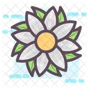 Flower Generic Flower Flower Design Icon