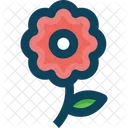 Flowerm Flower Blossom Icon