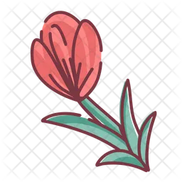 Flower  Icon