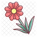 Spring Flower Season Icon