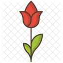 Flower Rose Nature Icon