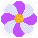 Daisy Flower Blossom Icon