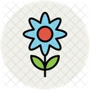 Flower Daisy Sun Icon