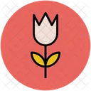 Flower Tulip Blossom Icon