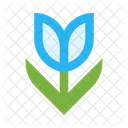 Flower Tulip Icon