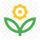 Flower Plant Herb Icon