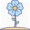 Beauty Flower Shamrock Icon