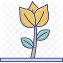 Flower Lotus Lotus Lily Icon