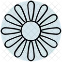 Summer Flower Floral Icon