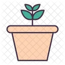 Flower Pot Plant Icon