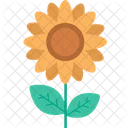 Flower Green Organic Icon