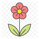 Flower Spring Natural Icon