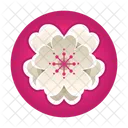 Sakura Festival Flower Blossom Icon