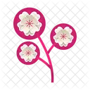 Sakura Flower Branch Icon