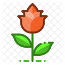Flower Tulip Floral Icon
