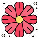 Flower Bloom Floral Icon