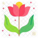 Flower Grow Nature Icon