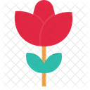 Flower Plant Rose Icon