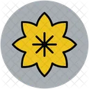 Flower Sunflower Ecology Icon