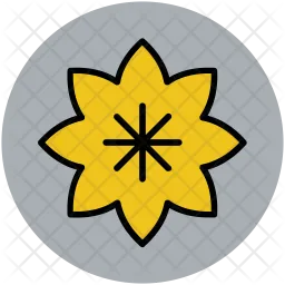 Flower  Icon