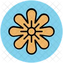 Flower Daisy Nature Icon