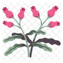 Flower Spring Leaf Icon