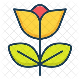 Flower  Icon