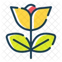 Non Toxic Natural Beauty Flower Icon