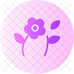 Flower  Icon