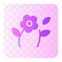 Flower  Icon