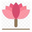 Flower Spring Flower Tulip Icon