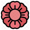 Flower Nature Summer Icon