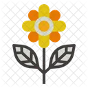 Flower  Icon