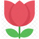 Flower  Icon