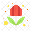 Flower  Icon